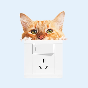 Close-up of a creative orange cat sticker peeking over a white power socket and light switch