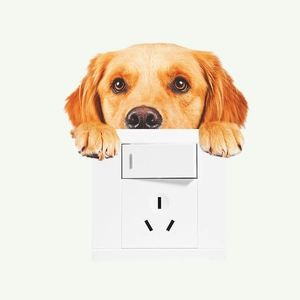 Creative white wall socket plate featuring a realistic Golden Retriever dog head sticker