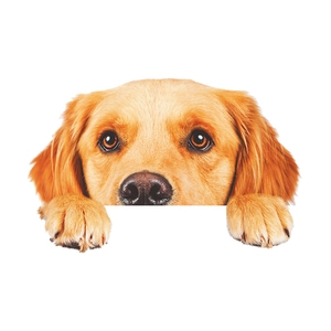 Realistic Golden Retriever wall sticker detail showing the cute dog peeking over white edge