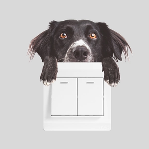 Detail of cute black and white dog sticker peering over a double light switch cover