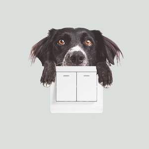 Creative border collie dog wall decal for decorating a dual-switch light panel