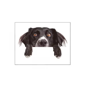 Detail view of cartoon dog wall sticker showing border collie peek pose with dimensions
