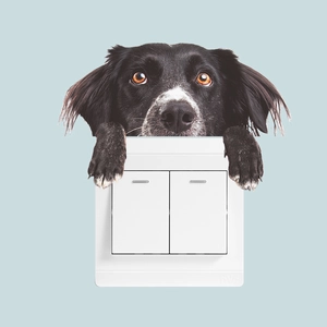 Dual rocker light switch with a creative 3D cartoon dog wall sticker on a blue background