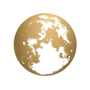 Detailed view of a circular gold earth wall decal with modern textured continents