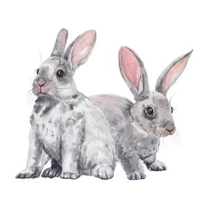 Watercolor bunny wall stickers for kids bedroom featuring two realistic grey rabbits