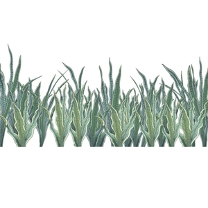 Detail view of hand-drawn tropical green plants and long leaf wall sticker design