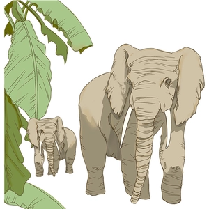 Wandtattoo Elefant mit tropischen grünen Blättern für Kinderzimmer Dekoration