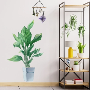 Detail of tropical green plant wall stickers showing banana leaf design for home decor