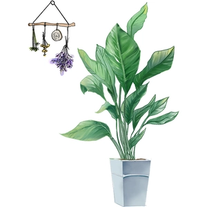 Self-adhesive tropical green plant wall sticker with Strelitzia in a silver pot