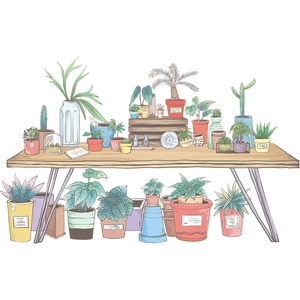 Artistic wall sticker featuring a wooden table with lush potted succulent plants