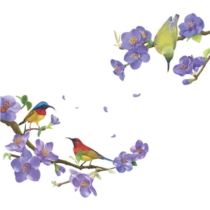 Detail of Chinese style wall stickers with purple plum blossoms and vibrant songbirds