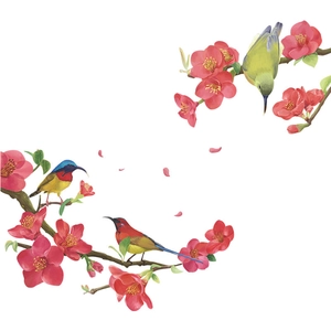 Self-adhesive wall stickers with Chinese plum blossoms and three colorful birds design