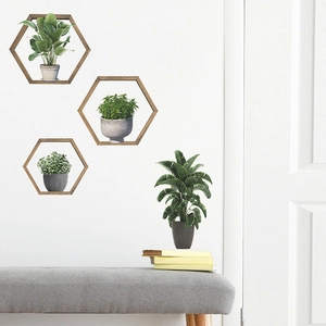 Detail of three hexagonal wooden frame wall stickers featuring realistic green potted plants