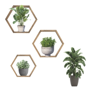 Set of three hexagonal dark wood floating shelves with decorative artificial green plants