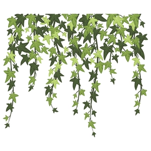 Green ivy vine wall decals for bathroom decor featuring a hanging leaves illustration