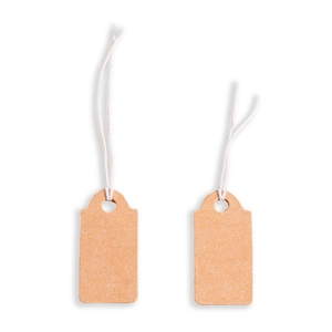 Detailed view of two brown kraft paper hang tags with white cotton string on white background