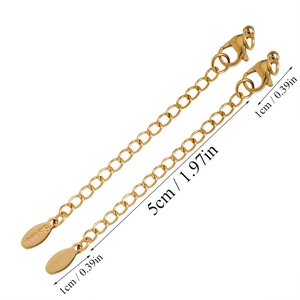 Detail of 5cm stainless steel extender chain with lobster clasp and oval logo tag