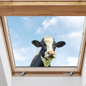 Sticker mural vache réaliste pour décoration de vitre avec fond de ciel bleu et nuages