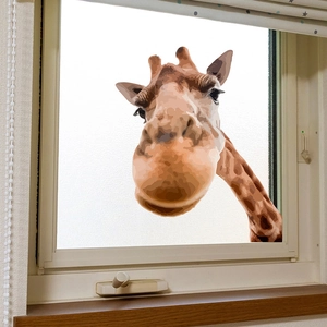 Charming giraffe peek-a-boo window wall decal for home glass background decoration