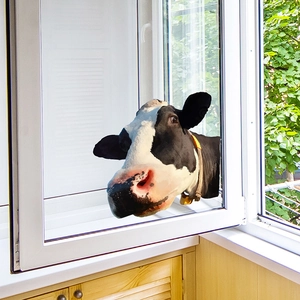 Creative 3D peeking cow wall sticker for window glass and home decoration