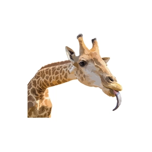 Colorful giraffe wall sticker featuring unique yellow spots and purple tongue on white background