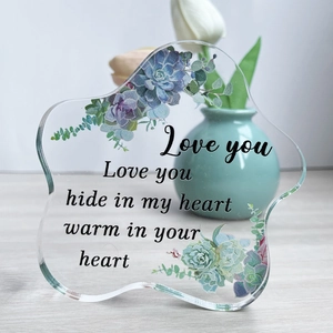 Acrylic succulent desktop decor with irregular cloud shape and heartwarming English text