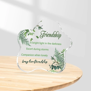 Transparent acrylic star decoration with green leaves and friendship quote for desk