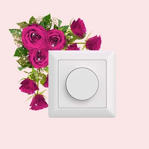 Elegant white dimmer switch panel for wall decor featuring a rotary knob design