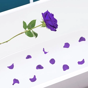 Detail view of purple artificial rose with realistic green leaves and scattered petals