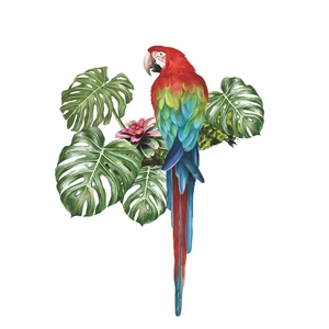Detail of colorful macaw parrot wall sticker with tropical monstera leaves and flowers