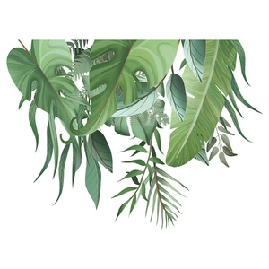 Détail de stickers muraux plantes tropicales avec monstera et feuilles de bananier