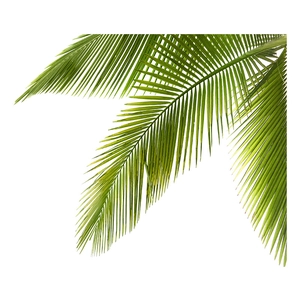 Detailed view of artificial green palm leaves with realistic texture for wall decoration
