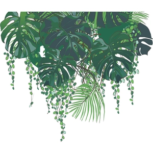 Detailed flat line art of tropical monstera leaves and hanging vines for wall decoration