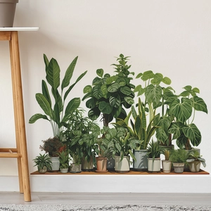 Adesivi murali con piante tropicali monstera per decorazione di pareti e casa