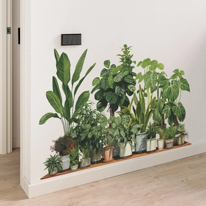 Adesivo murale dettagliato con monstera e piante tropicali in vaso su muro bianco