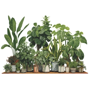 Monstera tropicale e piante verdi in vaso su mensola in legno per decoro pareti casa