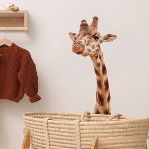 Realistic giraffe wall sticker for kids rooms in warm brown and beige tones on a wall