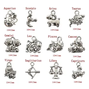 Set of 12 zodiac alloy pendants in antique silver finish for DIY jewelry making