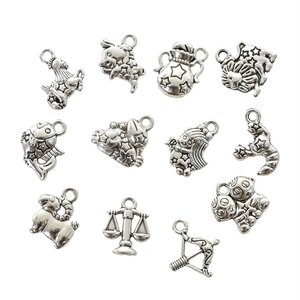 Set of 12 vintage silver alloy zodiac sign pendants for DIY jewelry making