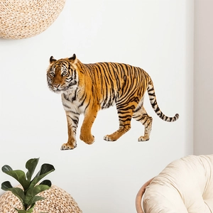 Realistic tiger wall sticker decor for living room featuring classic orange black stripes