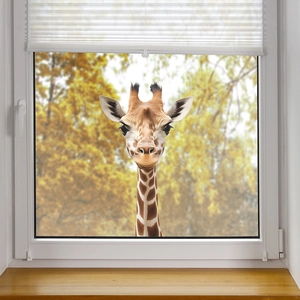 Sticker Fenêtre Girafe Statique 3D Film de Porte en Verre PVC Amovible Décalcomanie Murale Décorative pour Salon Chambre Maison
