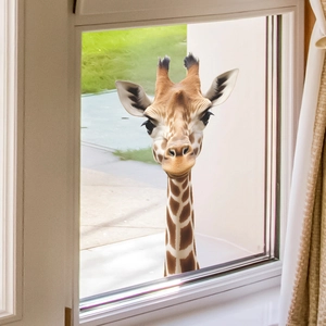 Sticker mural 3D girafe réaliste à travers un cadre de fenêtre pour décoration