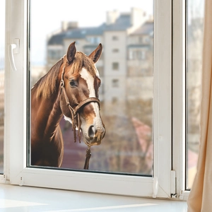 3D realistic horse head window sticker mural with brown stallion peeking through glass