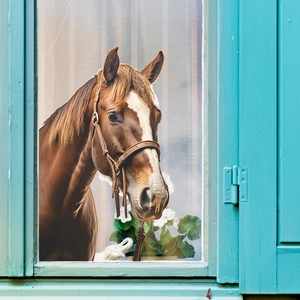 Detail of horse window wall sticker featuring brown horse head and floral window sill
