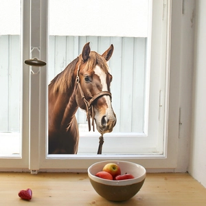 Realistic 3D brown horse window wall sticker for creative home interior decoration