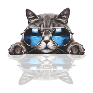 Cartoon grey tabby cat wearing blue pilot sunglasses creative bathroom wall sticker