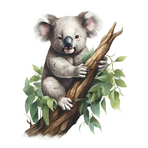 Self-adhesive wall sticker featuring a cute koala on a branch for kids' room decor