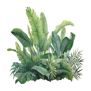 Tropische Monstera und Bananenblatt Wandtattoo für Badezimmer Deko auf weißem Hintergrund
