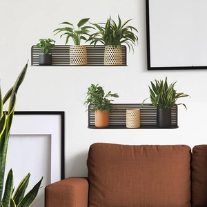 Modern wall-mounted black metal slat shelf with green plants against a white wall