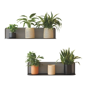Modern 3D floating plant shelves with wood slat back and black metal frame wall decor